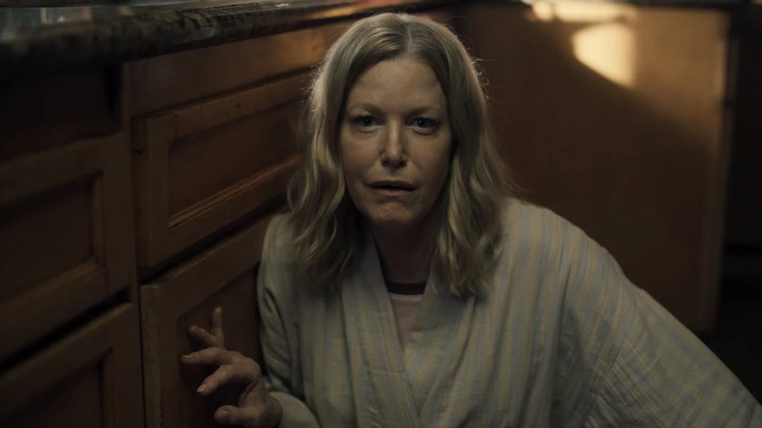 Anna Gunn gets a chance to avenge the loss of her daughter in the trailer for the tense thriller «The Apology».. 20 years after her daughter's disappearance, Darlene, a former alcoholic, is preparing for a family Christmas dinner with the help of her friend and neighbor Gretchen. Late in the evening, on Christmas Eve, an uninvited guest appears on her doorstep - her sister's ex-husband, bringing with him nostalgic gifts and a heavy secret. Soon Darlene finds herself trapped between rationality and ruthless instinct. Outside the door, a storm rages, and inside, a battle of wits begins that escalates into a brutal revenge game.

The film will be released on the streaming service "Shudder" on December 16.