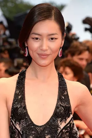 Liu Wen