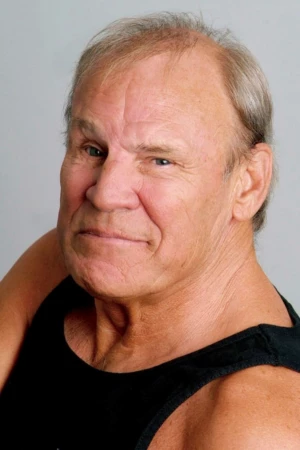 Don Stroud