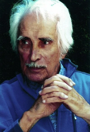 Radu Paladi