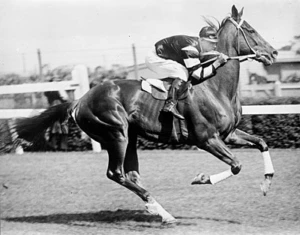 Phar Lap