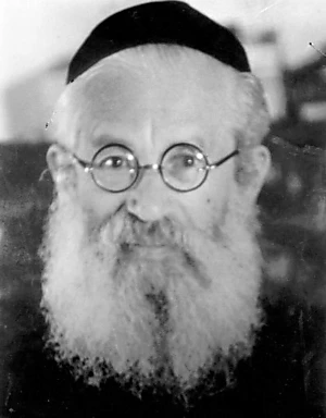 Yitzhak Halevi Herzog