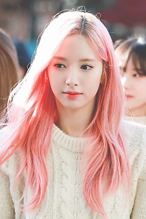 Bona