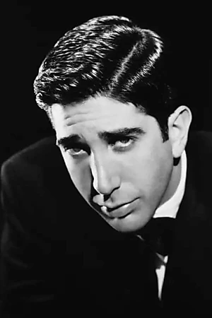 David Schwimmer