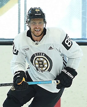 David Pastrňák