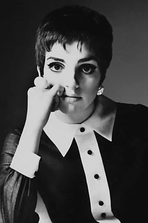 Liza Minnelli