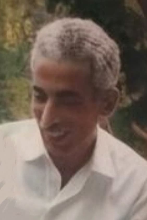 Abdel Monem Shokry