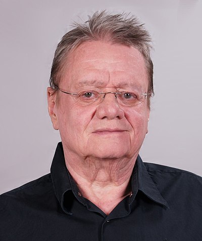 Hans-Georg Nenning