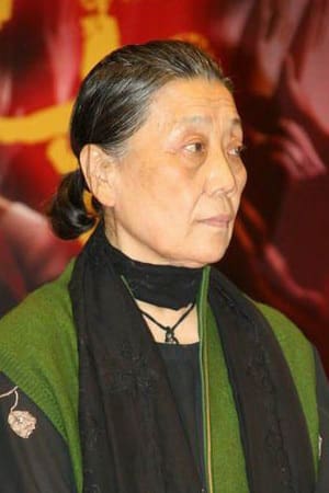 Shuyuan Jin