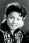 Zhao Fengxia