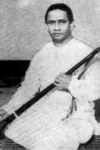 T. N. Rajarathinam Pillai