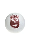 Wilson the Volleyball