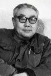 Feng Yifu