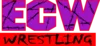 Extreme Championship Wrestling (ECW)