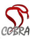 Cobra Film Department