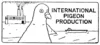 International Pigeon Production
