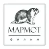 Marmot Film
