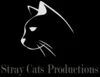 Stray Cats Productions