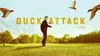 Duck Attack Films