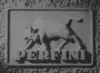 PT. PERFINI FILMS