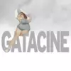 Gatacine