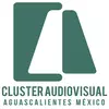 Clúster Audiovisual Aguascalientes México (CAAMX)
