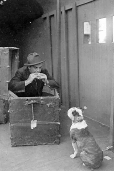 The Dog in the Baggage Car