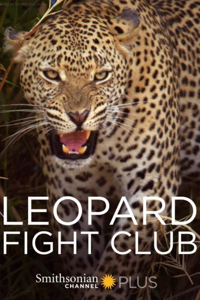 Leopard Fight Club