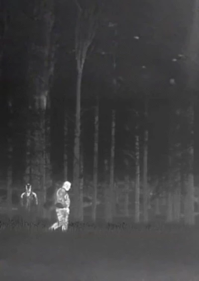 Untitled Trailcam Footage