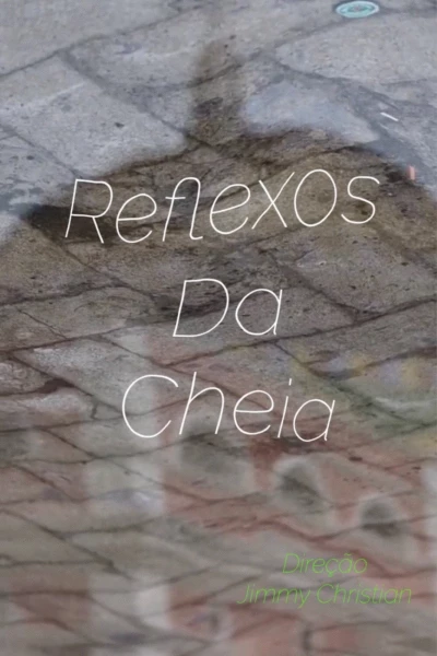 Reflexos da Cheia