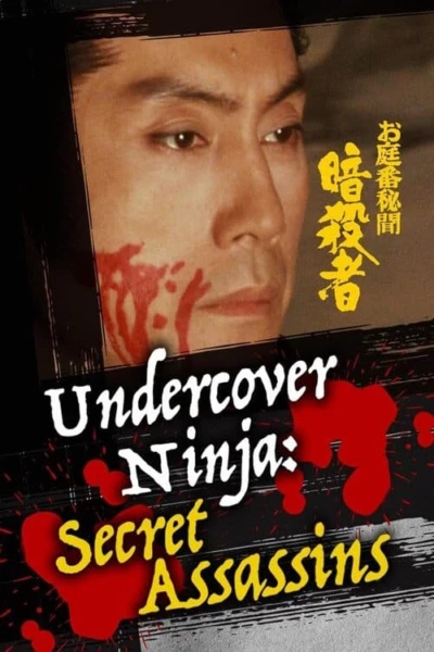 Undercover Ninja: Secret Assassins