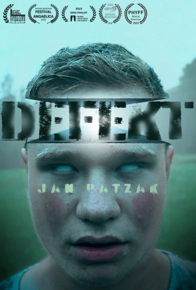 Defect