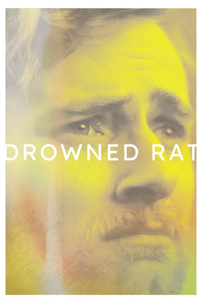 Drowned Rat