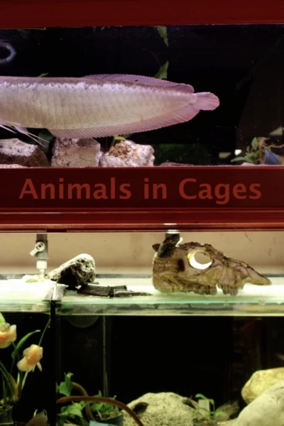 Animals In Cages