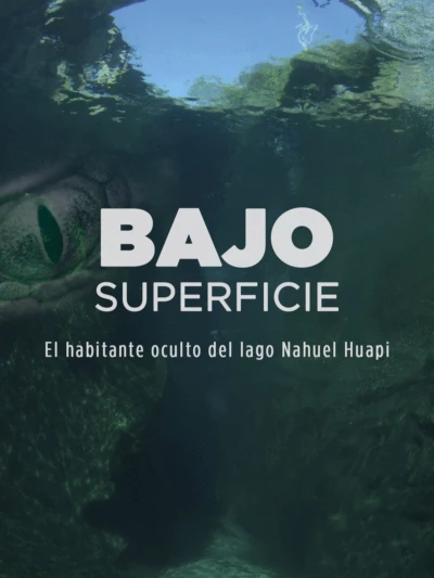 Bajo superficie