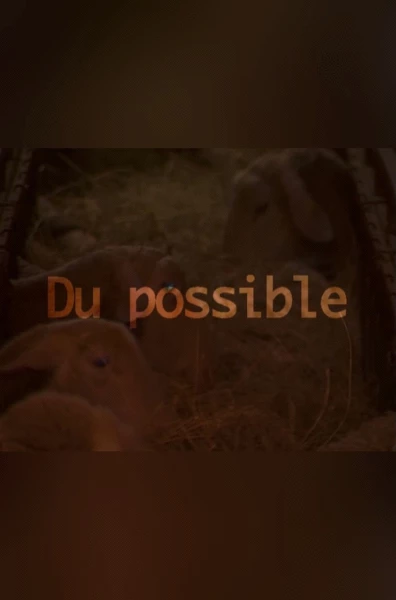 Du possible