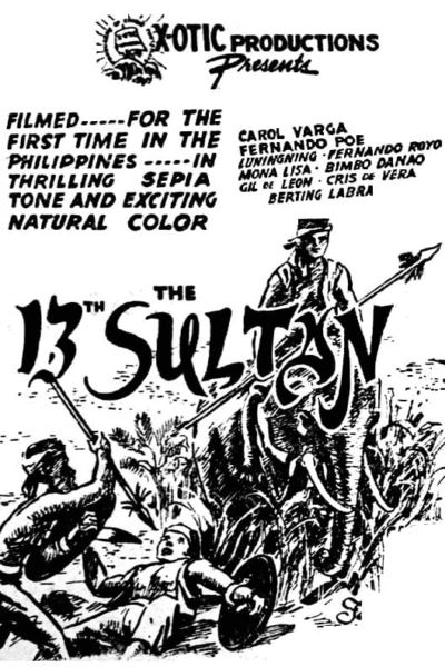 The 13th Sultan