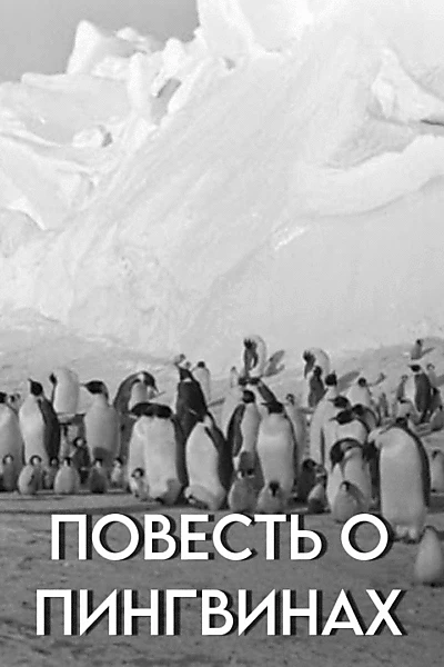 Tale of the Penguins