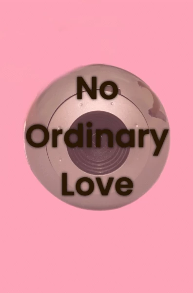 No Ordinary Love