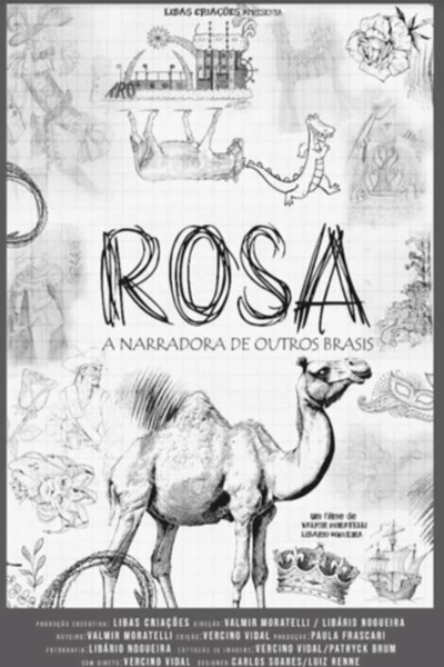 Rosa: narradora de outros Brasis