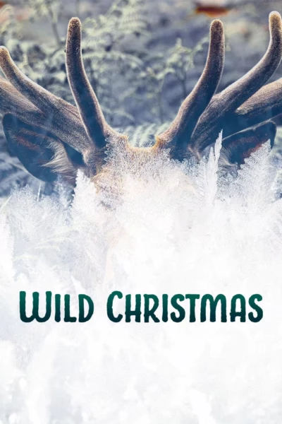 Wild Christmas