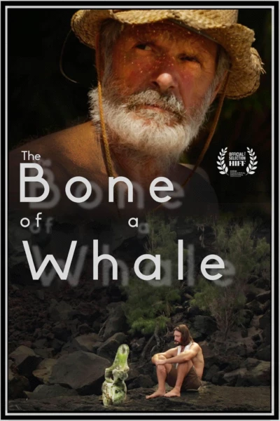 The Bone of a Whale