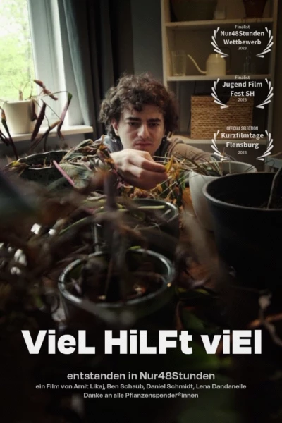 viel hilft viel