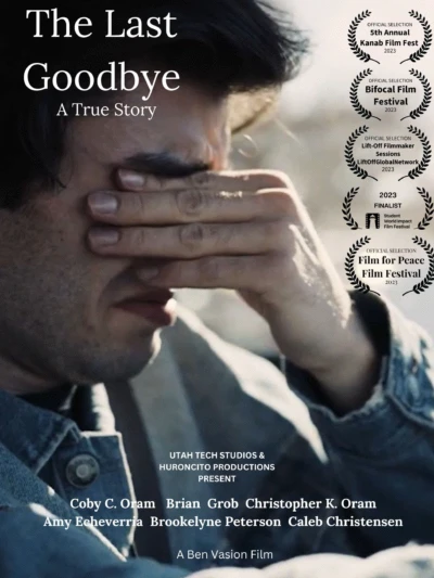 The Last Goodbye