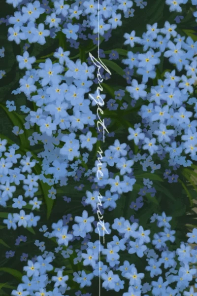 Forget Me Not