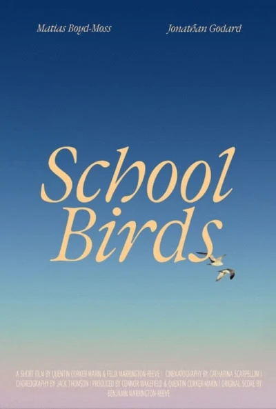 School Birds