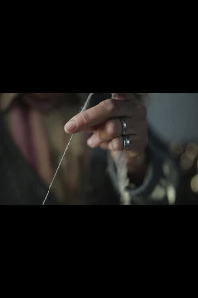 The wool trail