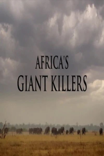 Africa's Giant Killers