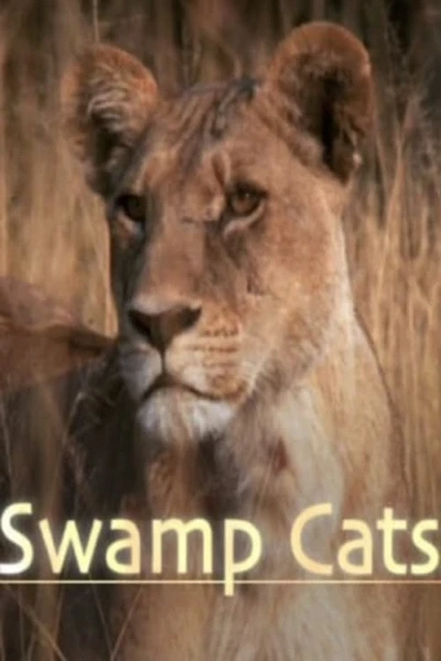 Swamp Cats