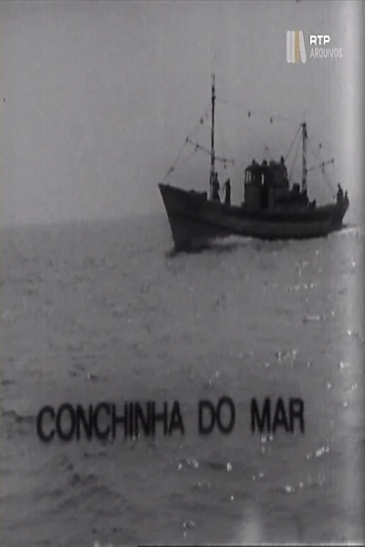 Conchinha do Mar